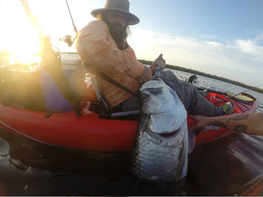 Awe Son Tarpon Action