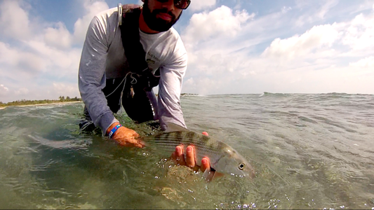 Morning Bonefish Sessions