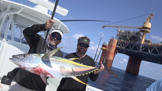 The Profishent, Jigalode, Louisiana, Venice, Oil Rig, Yellowfin Tuna, YFT, Yellowfin, Tuna, Offshore, Fishing, Seahunter, 