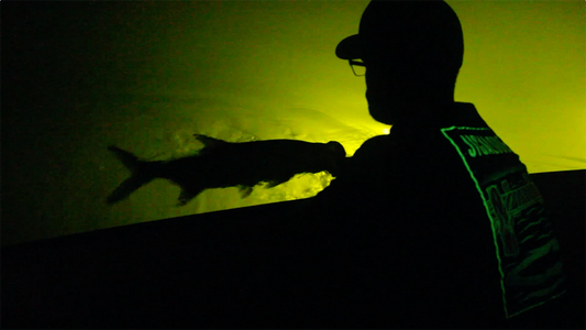 Tarpon, YouTube, Video, Jigalode, Fishing, Fly Fishing, Miami, Miami Beach, Government Cut, Downtown Miami, The Creature Tee, Glow In The Dark, Night, Dock Light, Underwater, Snook, Florida, Halloween