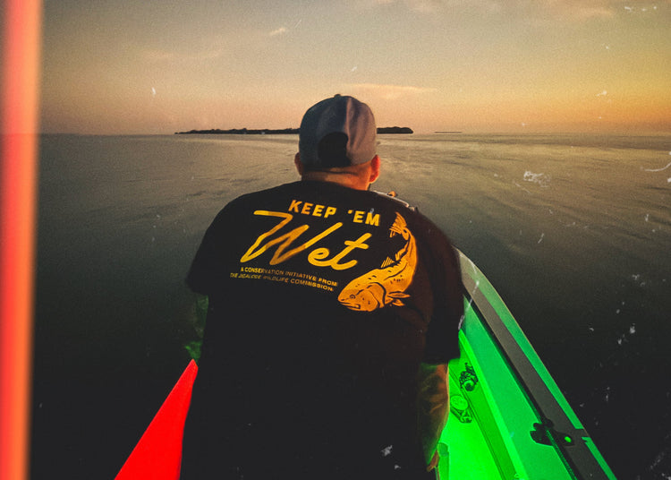 The Brackish Collection