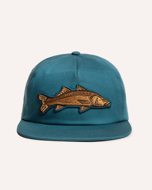 Snook Snapback