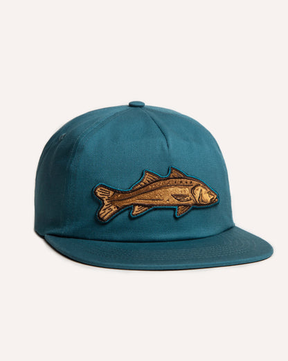 Snook Snapback